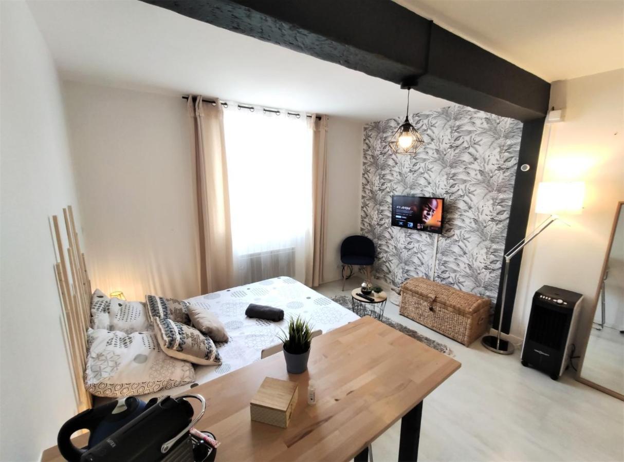 Le Jasmin Des Carmes - Hypercentre - Netflix Daire Toulouse Dış mekan fotoğraf